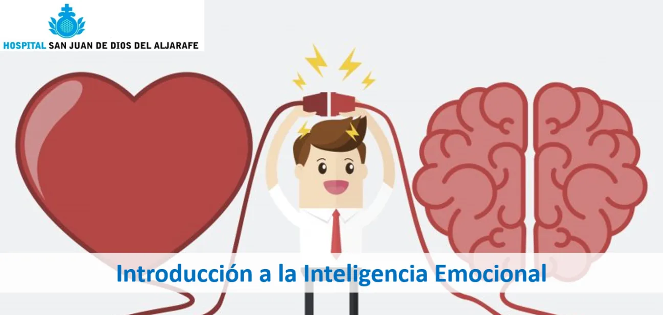 Introducción a la Inteligencia Emocional