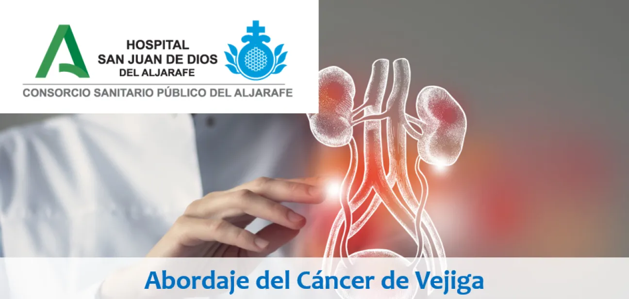 Abordaje del Cáncer de Vejiga